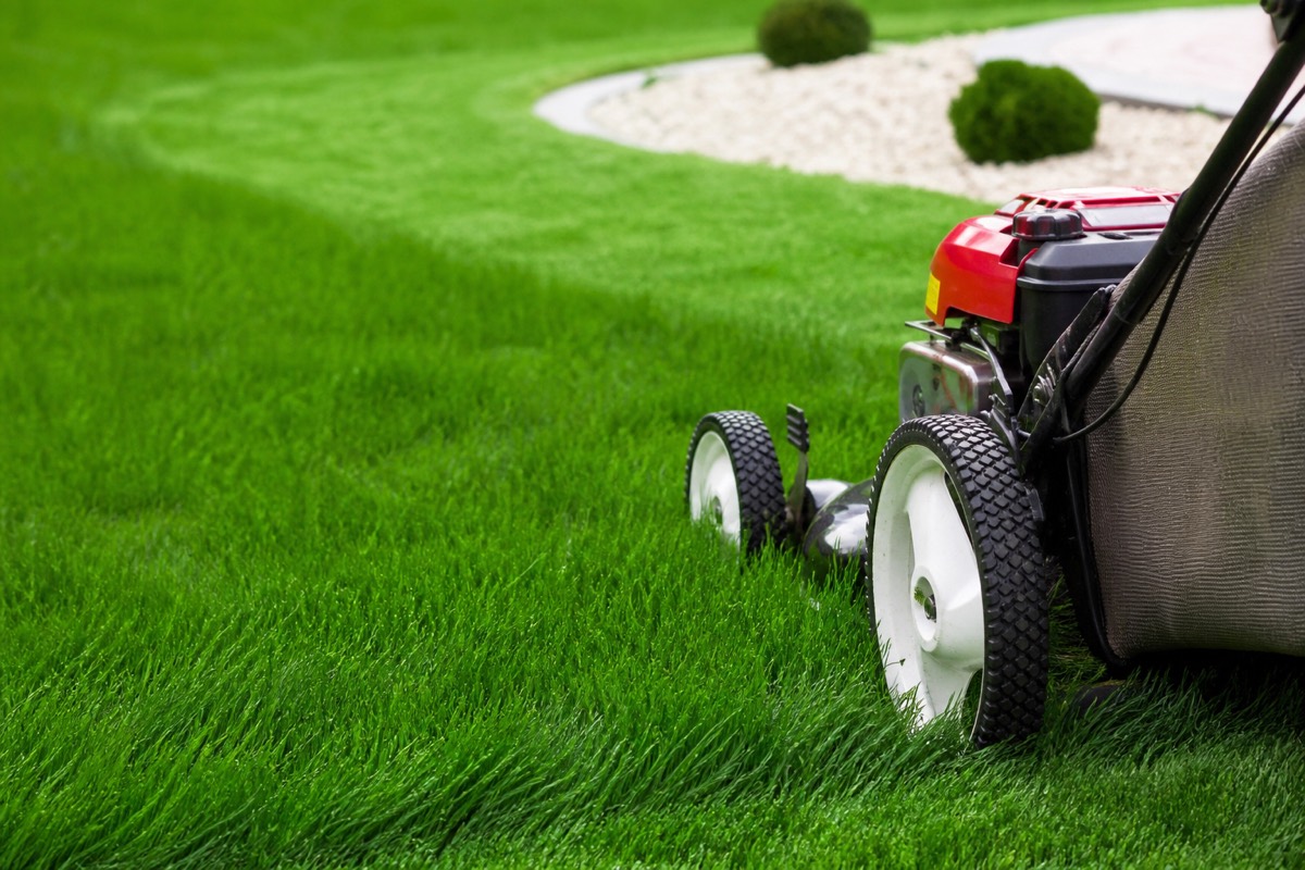 Your yard, handled.